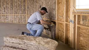 Best Attic Insulation Installation  in Eddyville, IA