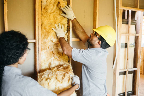 Best Basement Insulation  in Eddyville, IA