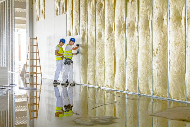 Best Insulation Removal  in Eddyville, IA